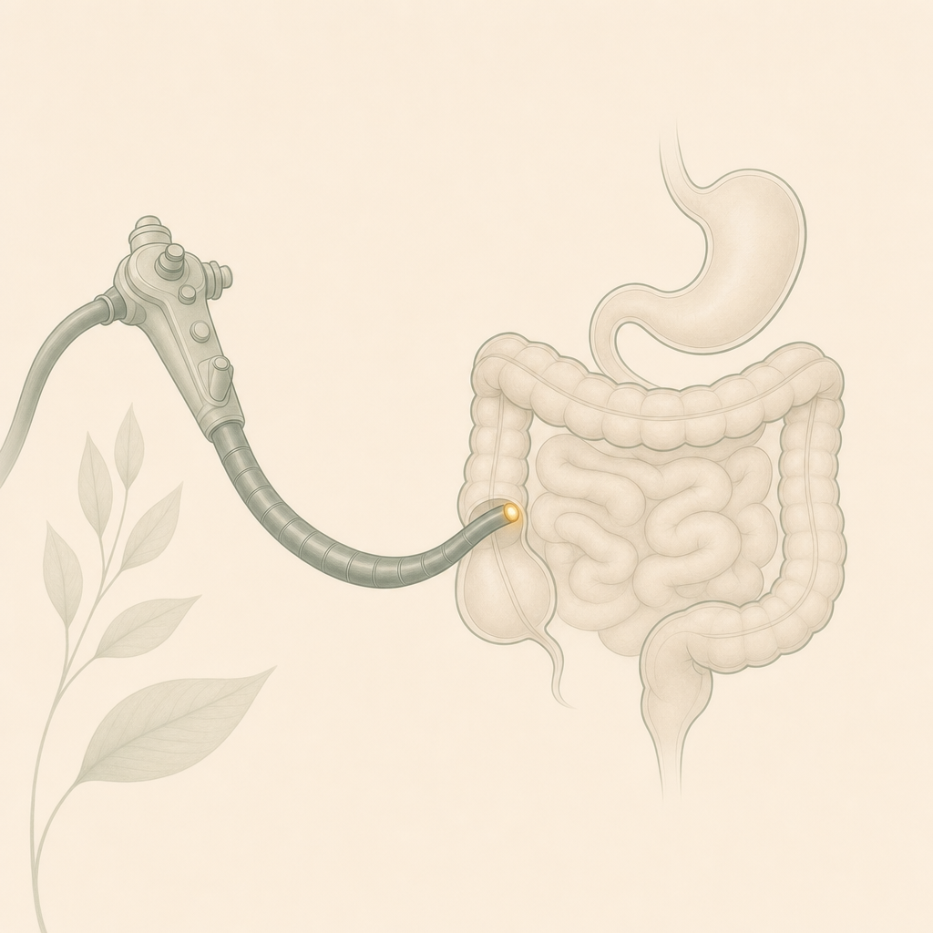 Illustration of a colonoscopy and gastroscopy examination